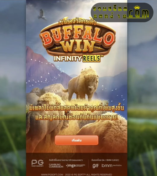 buffalo-win-main
